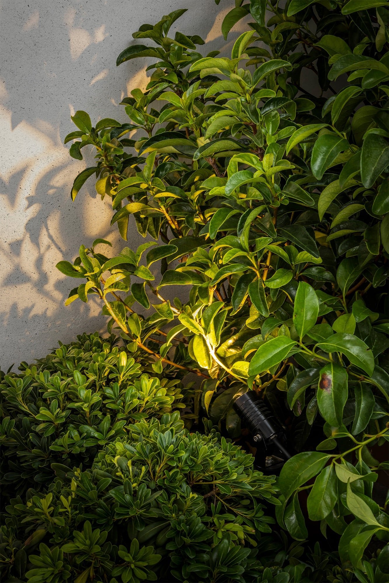 Spot à piquer LED BALDER - Spot à piquer - Lumisign