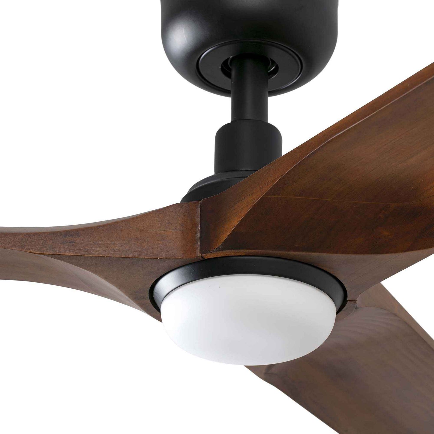 Ventilateur de plafond HEYWOOD noir avec luminaire