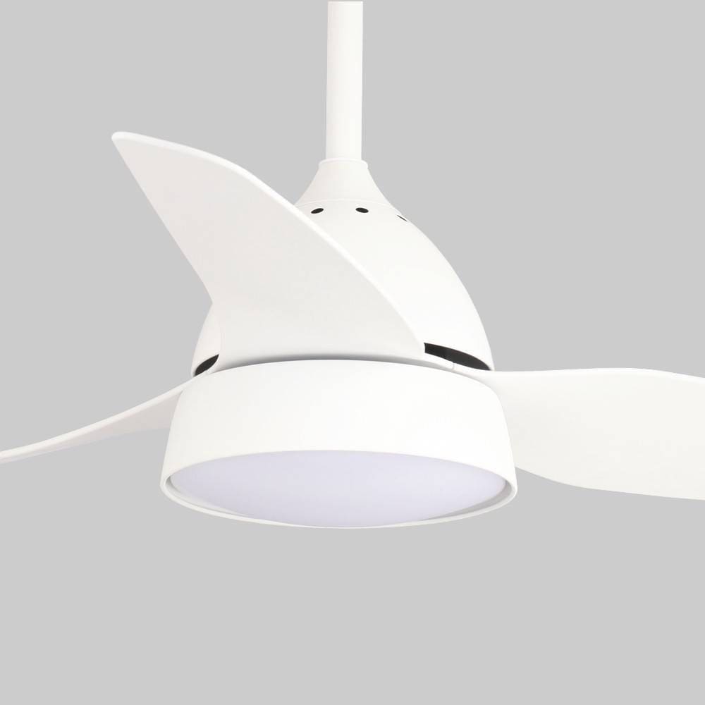 ventilateur de plafond Ventilateur de plafond BRISA Faro Lumisign