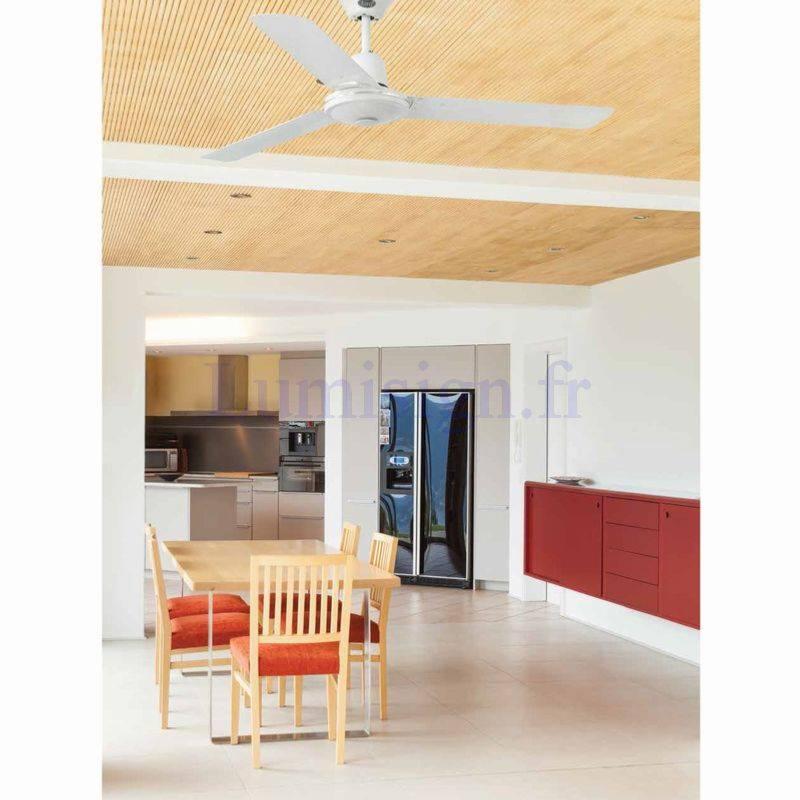 ventilateur de plafond Ventilateur de plafond ECO INDUS Faro Lumisign