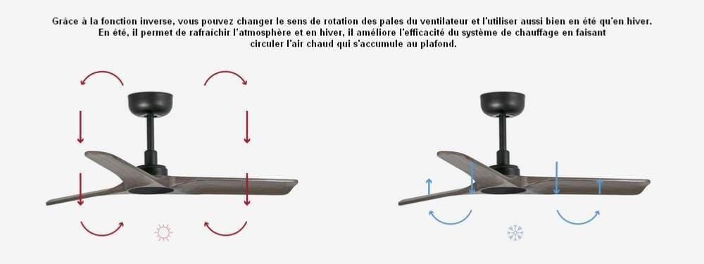 ventilateur de plafond Ventilateur de plafond HEYWOOD-S noir Faro Lumisign