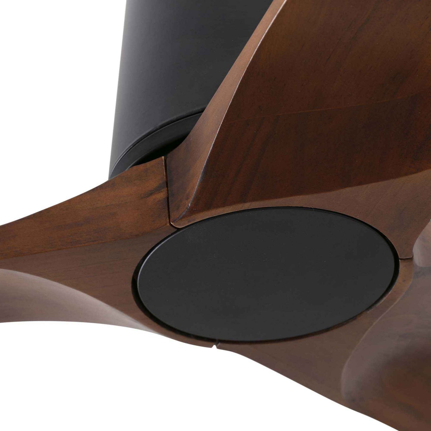 Ventilateur de plafond HEYWOOD TUB S noir