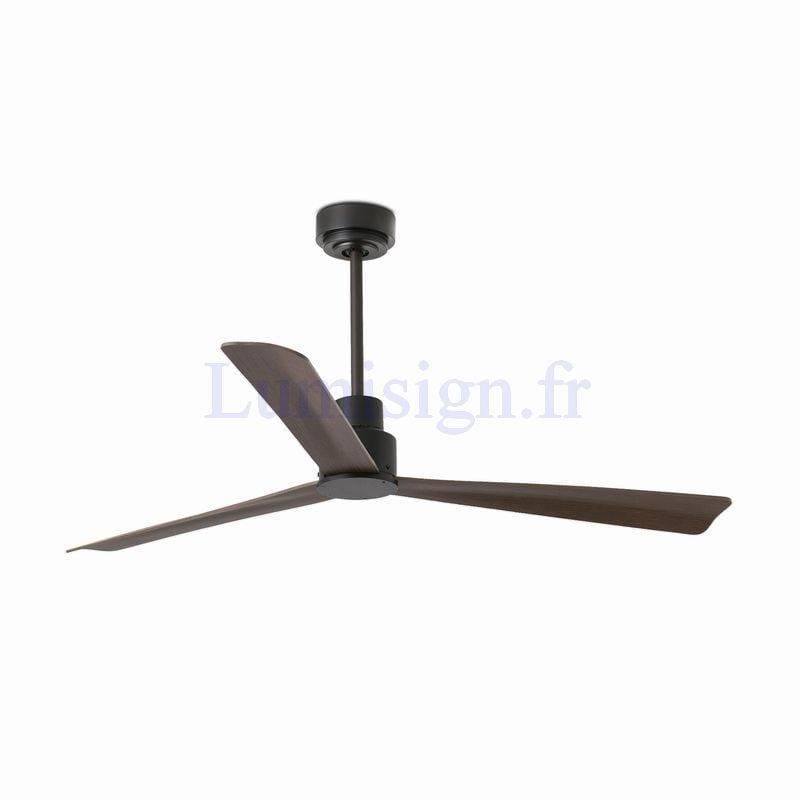 ventilateur de plafond Ventilateur de plafond NASSAU Faro Lumisign