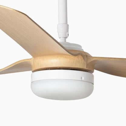 ventilateur de plafond Ventilateur de plafond PUNT blanc pales érable avec luminaire Faro Lumisign