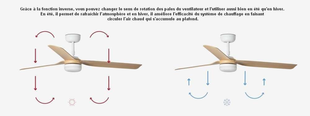 ventilateur de plafond Ventilateur de plafond PUNT blanc pales érable avec luminaire Faro Lumisign