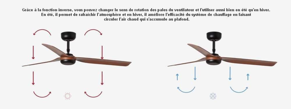 ventilateur de plafond Ventilateur de plafond PUNT noir pales noyer Faro Lumisign