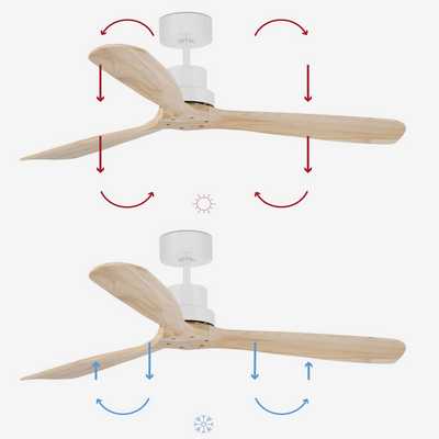 Optimisez votre confort toute l'année avec nos ventilateurs de plafond été-hiver grâce à leur fonction réversible.