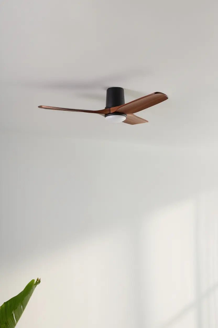 Ventilateur de plafond HEYWOOD TUB S noir avec luminaire