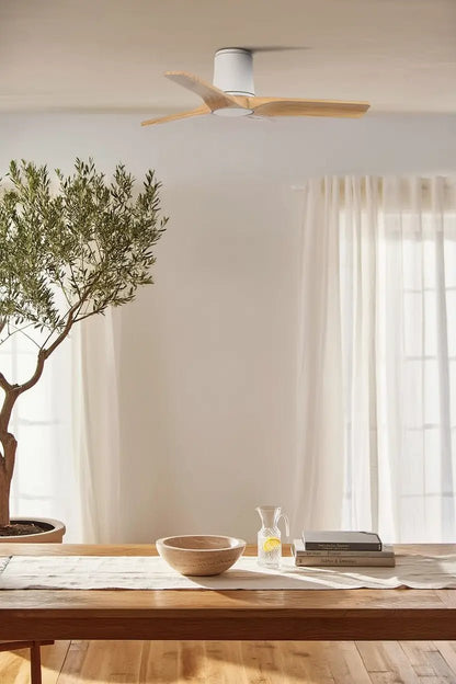 Ventilateur de plafond HEYWOOD TUB S blanc