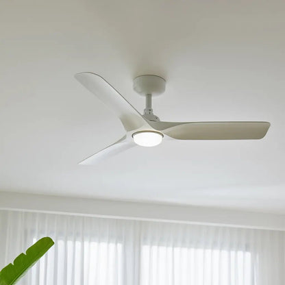 Ventilateur de plafond HEY Tub DC : blanc mat, éclairage LED réglable