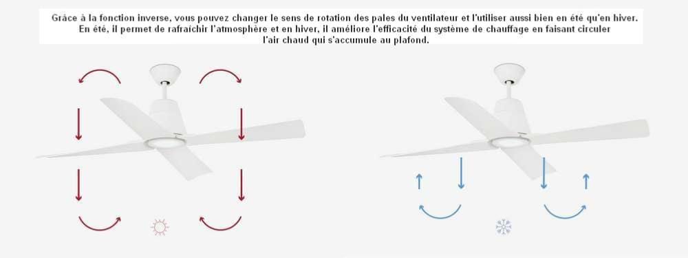 ventilateur de plafond Ventilateur de plafond intérieur/extérieur TYPHOON blanc avec luminaire Faro Lumisign