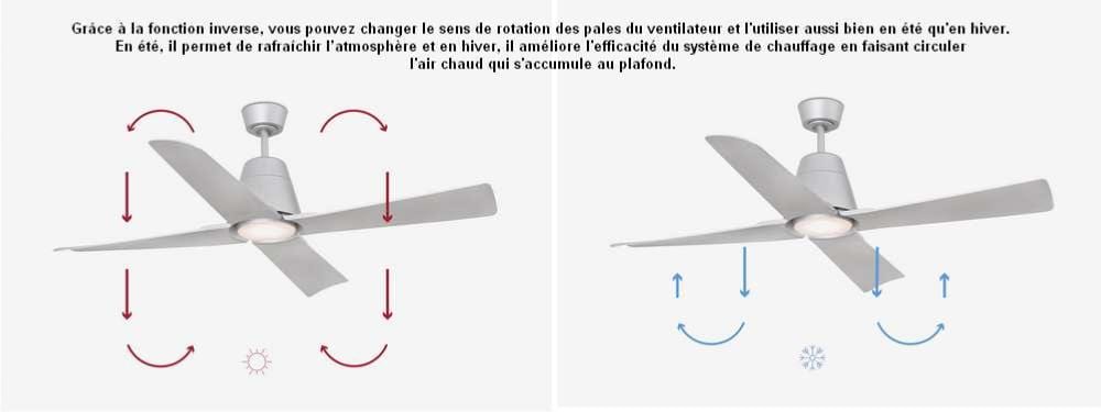 ventilateur de plafond Ventilateur de plafond intérieur/ extérieur TYPHOON gris avec luminaire Faro Lumisign