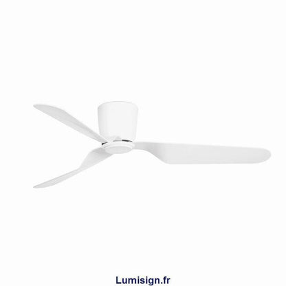 ventilateur de plafond Ventilateur de plafond PEMBA Faro Lumisign