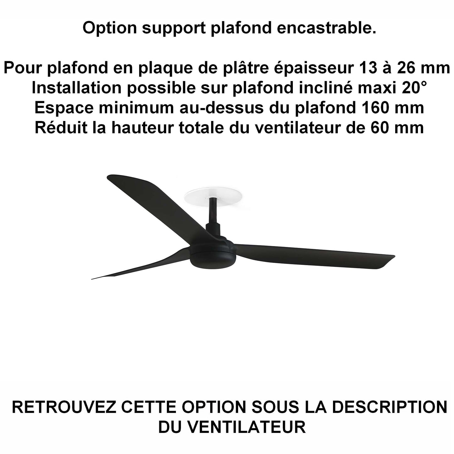 ventilateur de plafond PUNT noir pour plafond en ba13