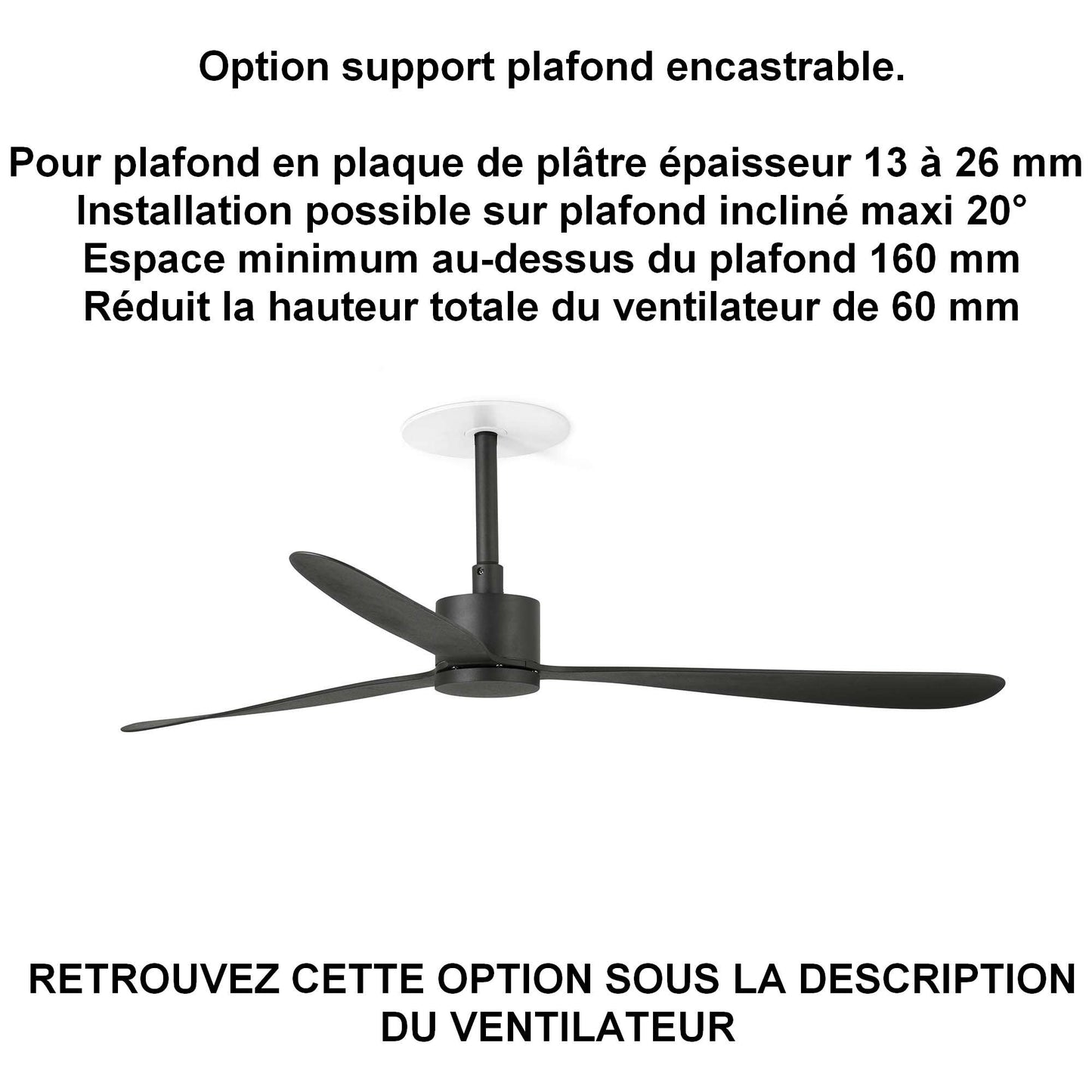 Ventilateur de plafond AMELIA noir sans lampe pour plafond ba13