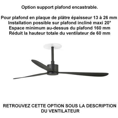 Ventilateur de plafond AMELIA noir sans lampe pour plafond ba13